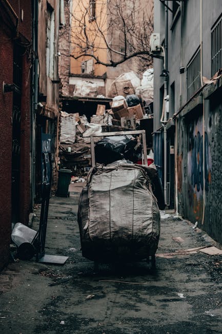 Same day rubbish removal Highbury near Arsenal station